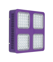 Led Classic 300w